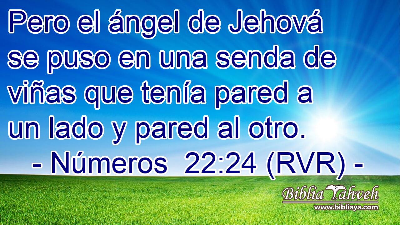 Pero el ángel de Jehová se puso en una senda de viñas que tenía pared a un lado y pared al otro.