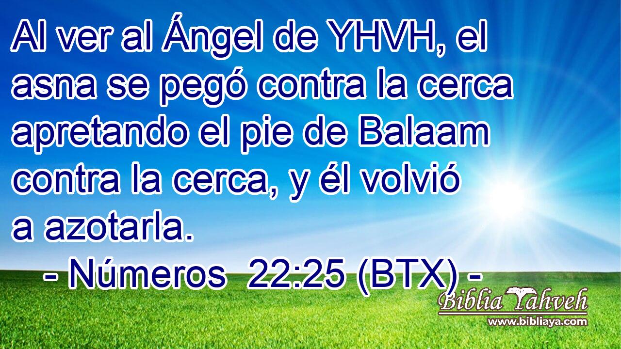 Al ver al Ángel de YHVH, el asna se pegó contra la cerca apretando el pie de Balaam contra la cerca, y él volvió a azotarla.