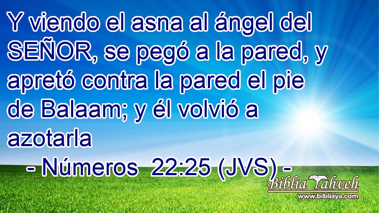 Y viendo el asna al ángel del SEÑOR, se pegó a la pared, y apretó contra la pared el pie de Balaam; y él volvió a azotarla