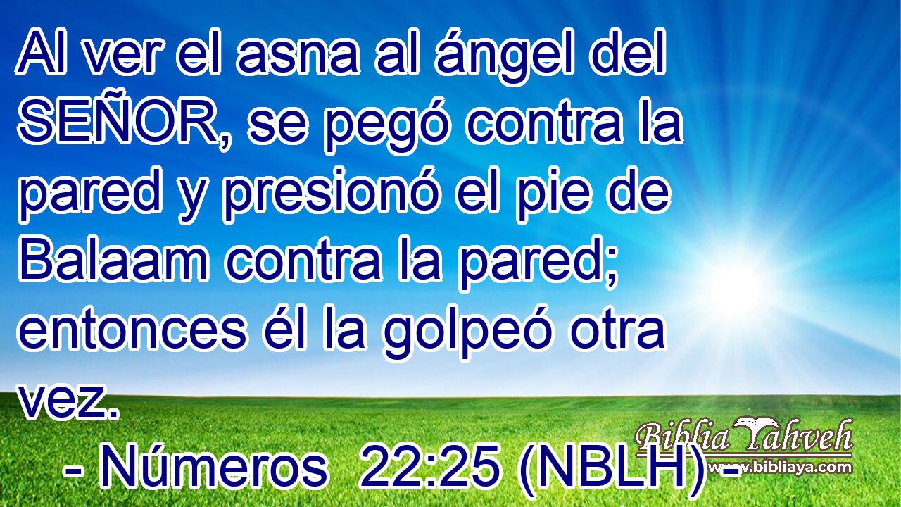  Al ver el asna al ángel del SEÑOR, se pegó contra la pared y presionó el pie de Balaam contra la pared; entonces él la golpeó otra vez. 
