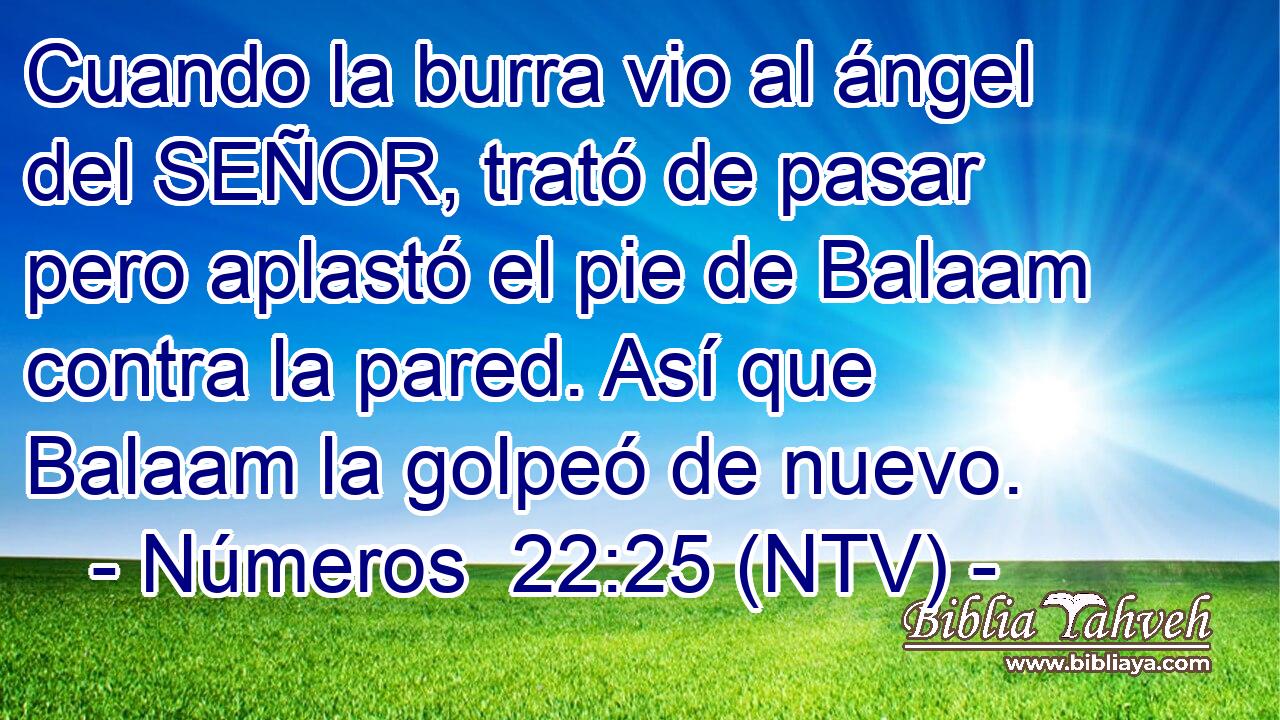 Cuando la burra vio al ángel del SEÑOR, trató de pasar pero aplastó el pie de Balaam contra la pared. Así que Balaam la golpeó de nuevo.
