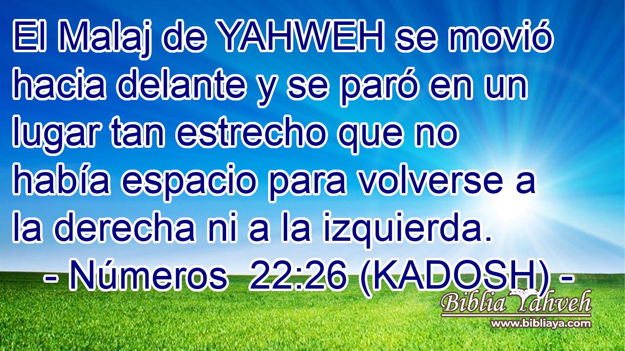  El Malaj de YAHWEH se movió hacia delante y se paró en un lugar tan estrecho que no había espacio para volverse a la derecha ni a la izquierda. 