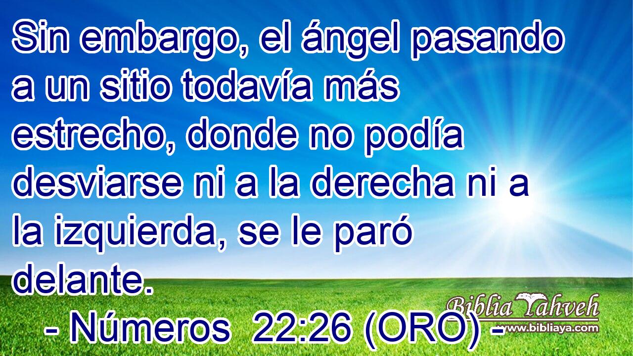  Sin embargo, el ángel pasando a un sitio todavía más estrecho, donde no podía desviarse ni a la derecha ni a la izquierda, se le paró delante. 