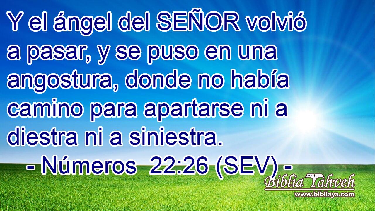 Y el ángel del SEÑOR volvió a pasar, y se puso en una angostura, donde no había camino para apartarse ni a diestra ni a siniestra.
