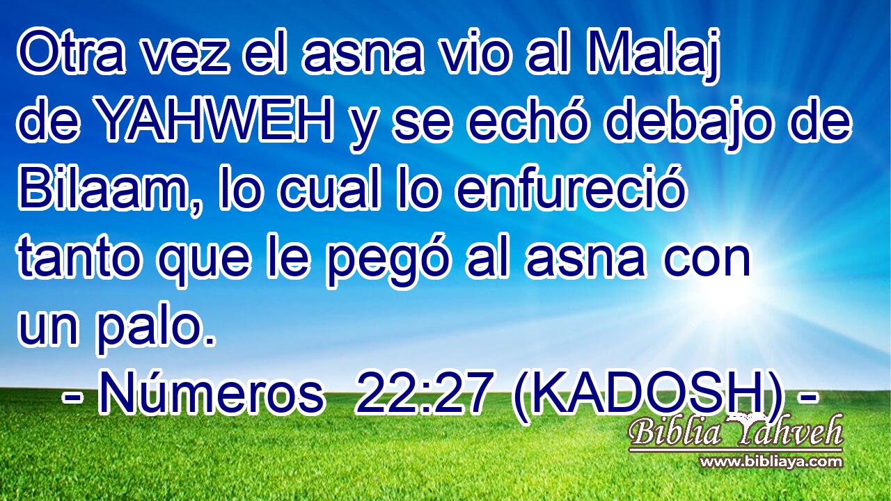  Otra vez el asna vio al Malaj de YAHWEH y se echó debajo de Bilaam, lo cual lo enfureció tanto que le pegó al asna con un palo. 