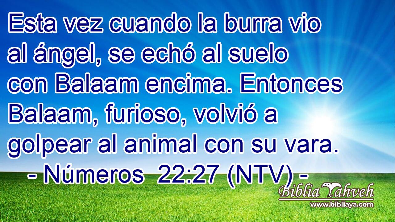 Esta vez cuando la burra vio al ángel, se echó al suelo con Balaam encima. Entonces Balaam, furioso, volvió a golpear al animal con su vara.