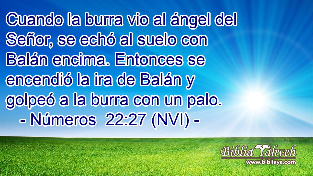  Cuando la burra vio al ángel del Señor, se echó al suelo con Balán encima. Entonces se encendió la ira de Balán y golpeó a la burra con un palo. 