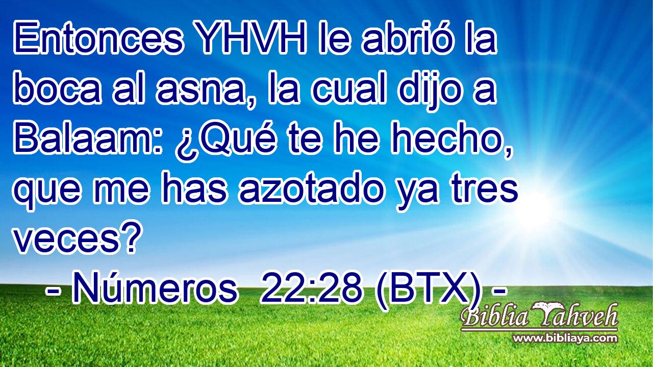 Entonces YHVH le abrió la boca al asna, la cual dijo a Balaam: ¿Qué te he hecho, que me has azotado ya tres veces?
