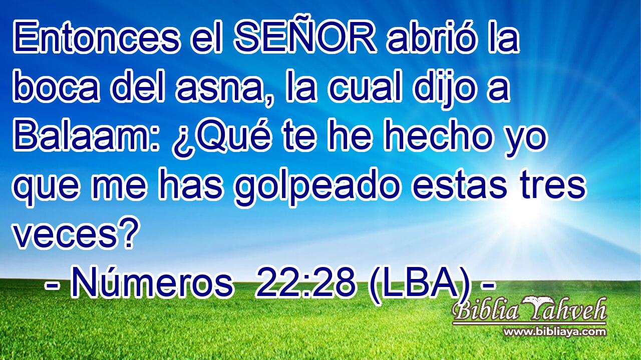 Entonces el SEÑOR abrió la boca del asna, la cual dijo a Balaam: ¿Qué te he hecho yo que me has golpeado estas tres veces?