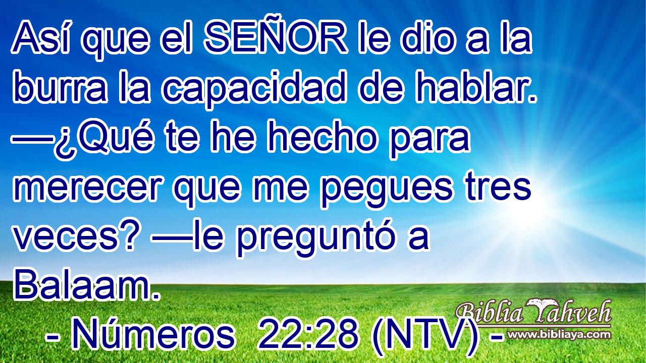 Así que el SEÑOR le dio a la burra la capacidad de hablar. —¿Qué te he hecho para merecer que me pegues tres veces? —le preguntó a Balaam.