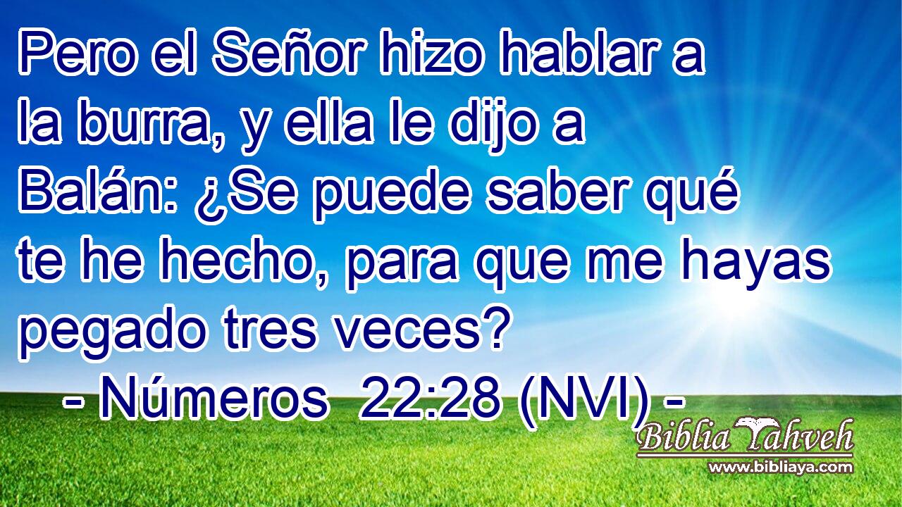  Pero el Señor hizo hablar a la burra, y ella le dijo a Balán: ¿Se puede saber qué te he hecho, para que me hayas pegado tres veces? 