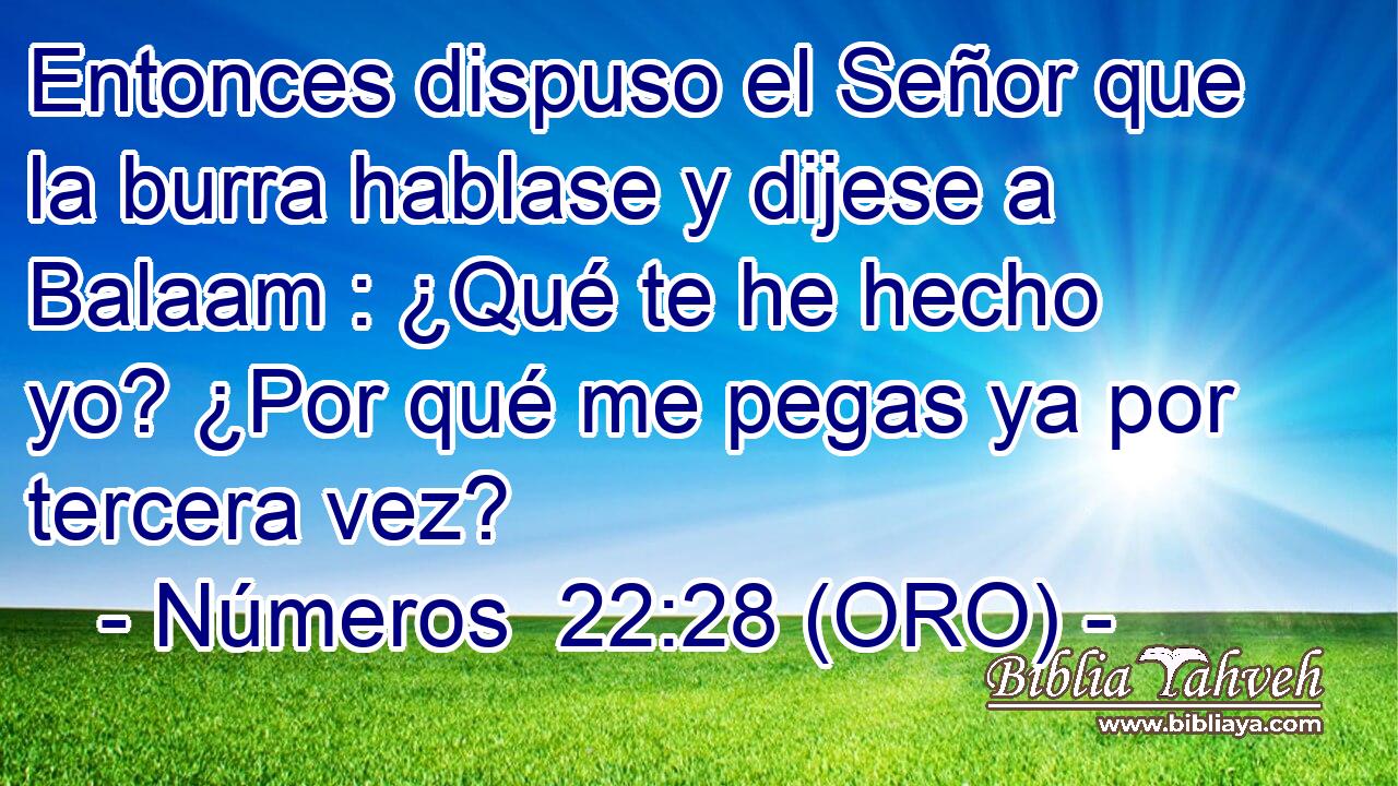  Entonces dispuso el Señor que la burra hablase y dijese a Balaam : ¿Qué te he hecho yo? ¿Por qué me pegas ya por tercera vez? 