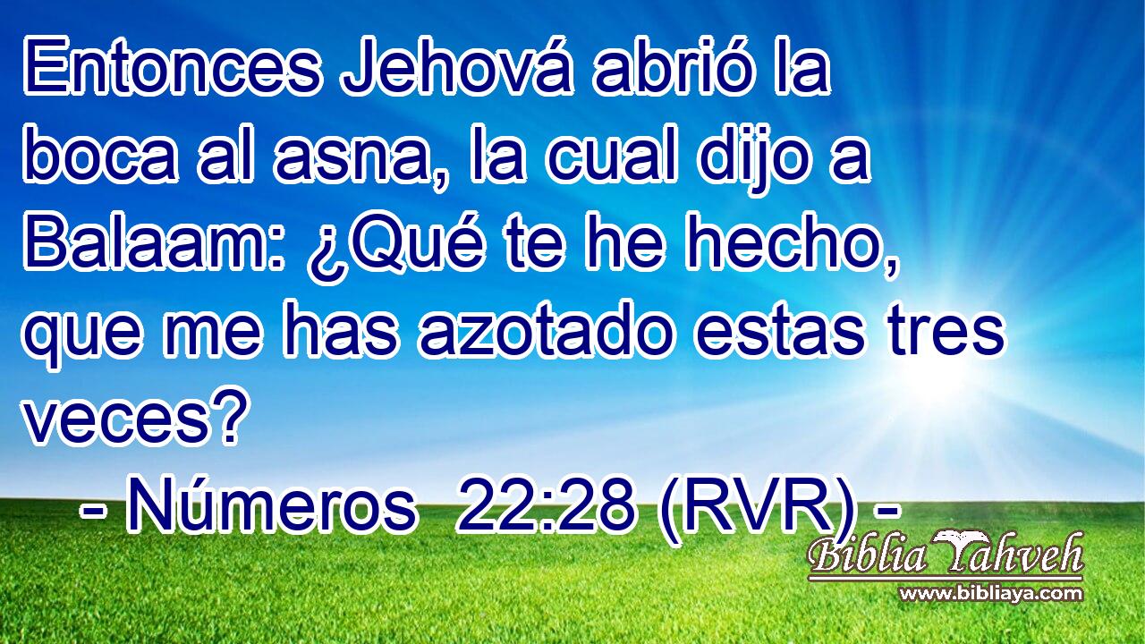 Entonces Jehová abrió la boca al asna, la cual dijo a Balaam: ¿Qué te he hecho, que me has azotado estas tres veces?