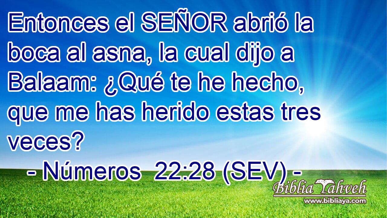 Entonces el SEÑOR abrió la boca al asna, la cual dijo a Balaam: ¿Qué te he hecho, que me has herido estas tres veces?