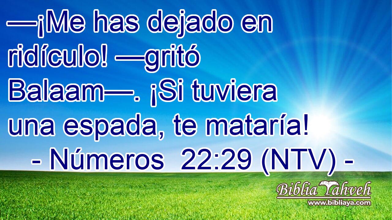 —¡Me has dejado en ridículo! —gritó Balaam—. ¡Si tuviera una espada, te mataría!