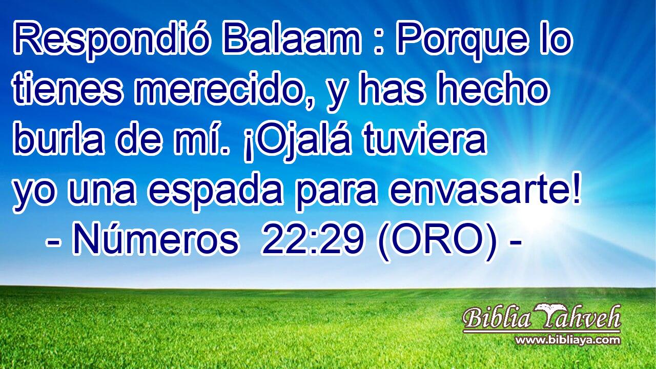  Respondió Balaam : Porque lo tienes merecido, y has hecho burla de mí. ¡Ojalá tuviera yo una espada para envasarte! 