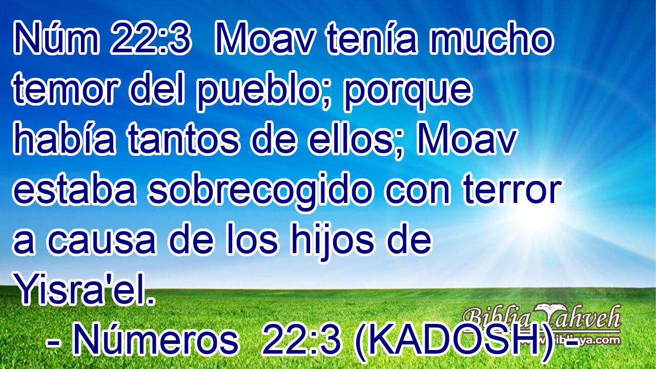  Moav tenía mucho temor del pueblo; porque había tantos de ellos; Moav estaba sobrecogido con terror a causa de los hijos de Yisra'el. 