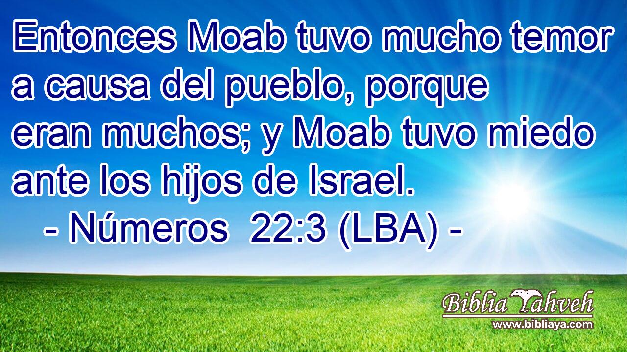 Entonces Moab tuvo mucho temor a causa del pueblo, porque eran muchos; y Moab tuvo miedo ante los hijos de Israel.