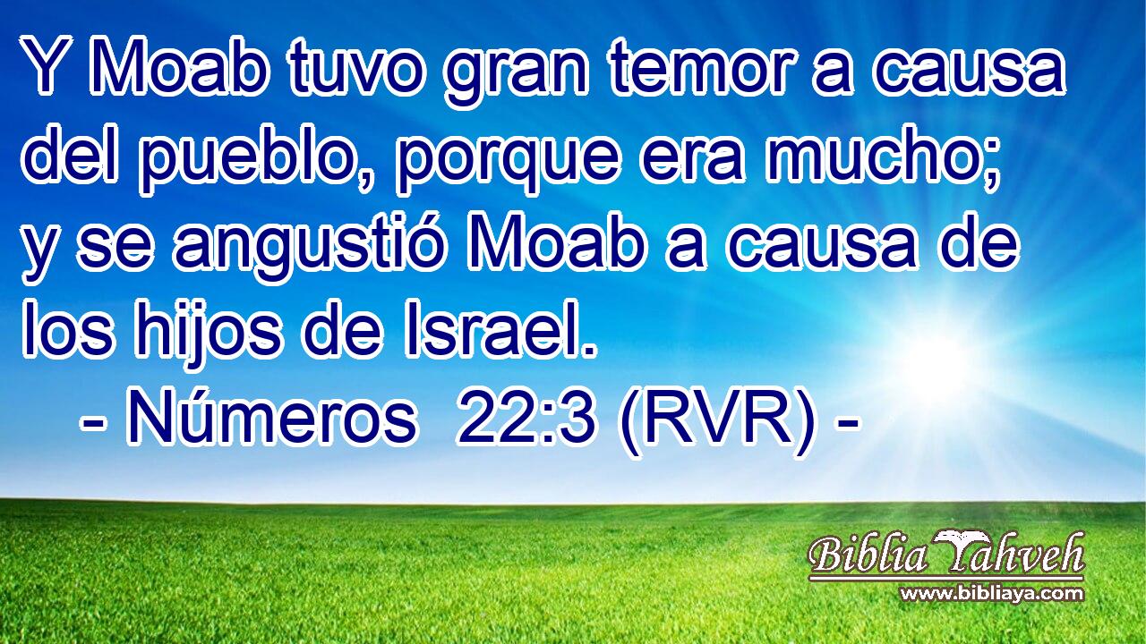 Y Moab tuvo gran temor a causa del pueblo, porque era mucho; y se angustió Moab a causa de los hijos de Israel.