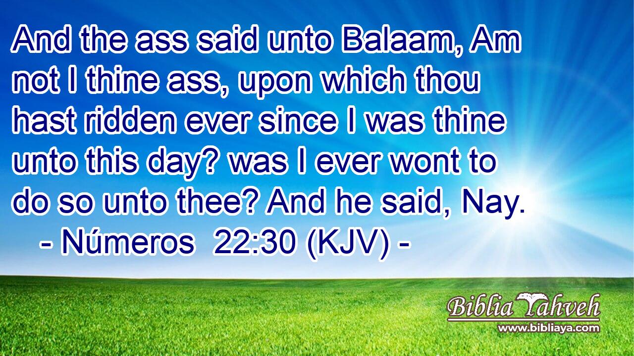 And the ass said unto Balaam, Am not I thine ass, upon which thou hast ridden ever since I was thine unto this day? was I ever wont to do so unto thee? And he said, Nay.