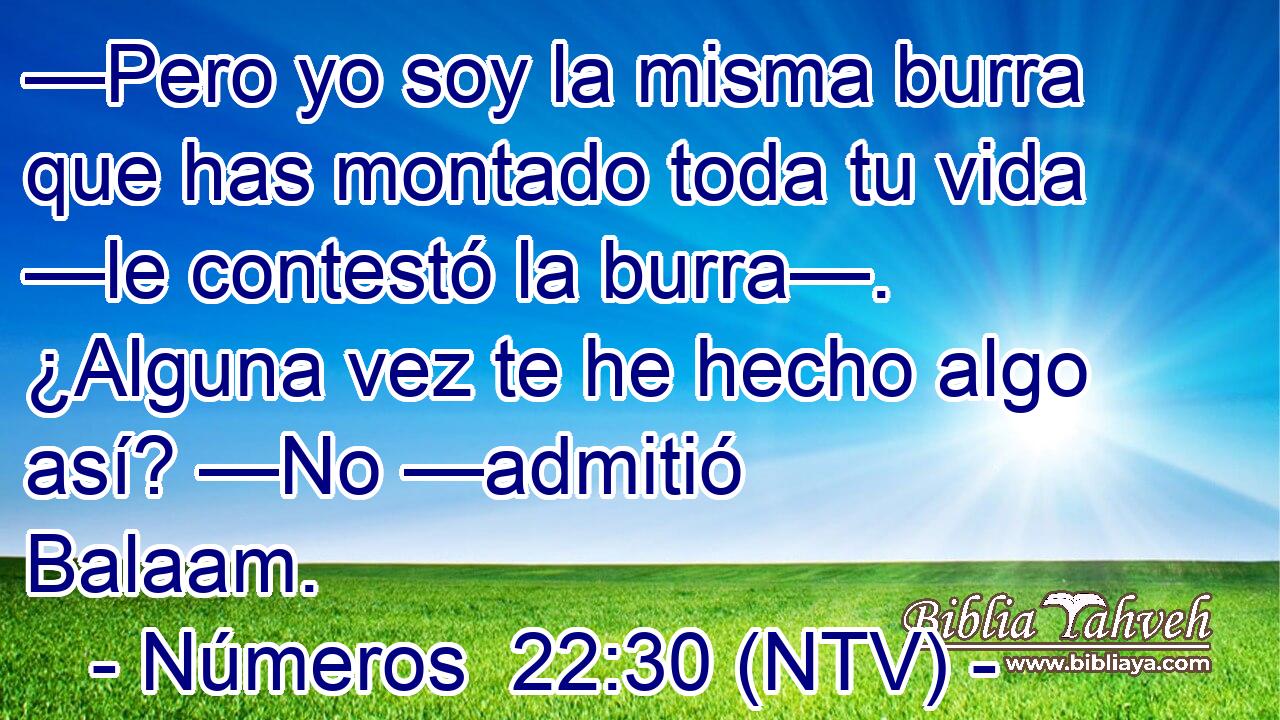 —Pero yo soy la misma burra que has montado toda tu vida —le contestó la burra—. ¿Alguna vez te he hecho algo así? —No —admitió Balaam.