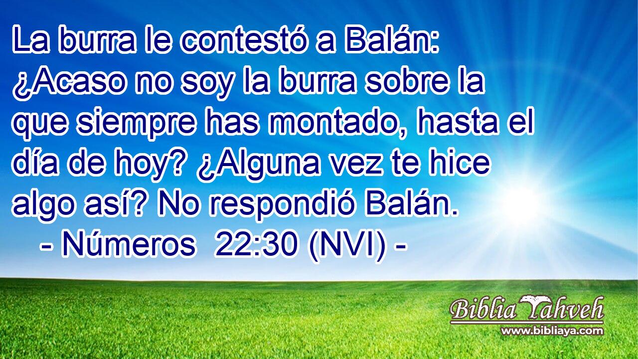  La burra le contestó a Balán: ¿Acaso no soy la burra sobre la que siempre has montado, hasta el día de hoy? ¿Alguna vez te hice algo así? No respondió Balán. 