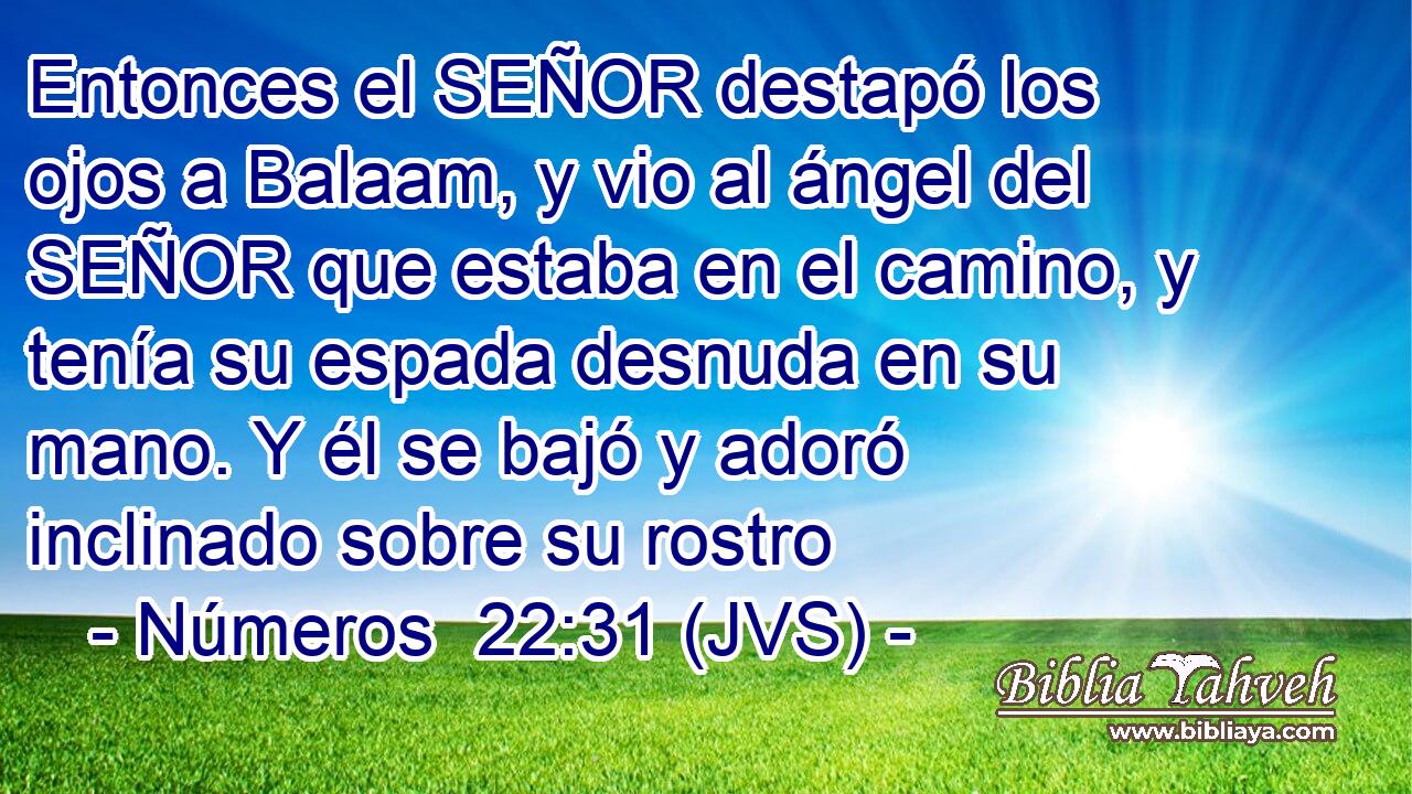 Entonces el SEÑOR destapó los ojos a Balaam, y vio al ángel del SEÑOR que estaba en el camino, y tenía su espada desnuda en su mano. Y él se bajó y adoró inclinado sobre su rostro