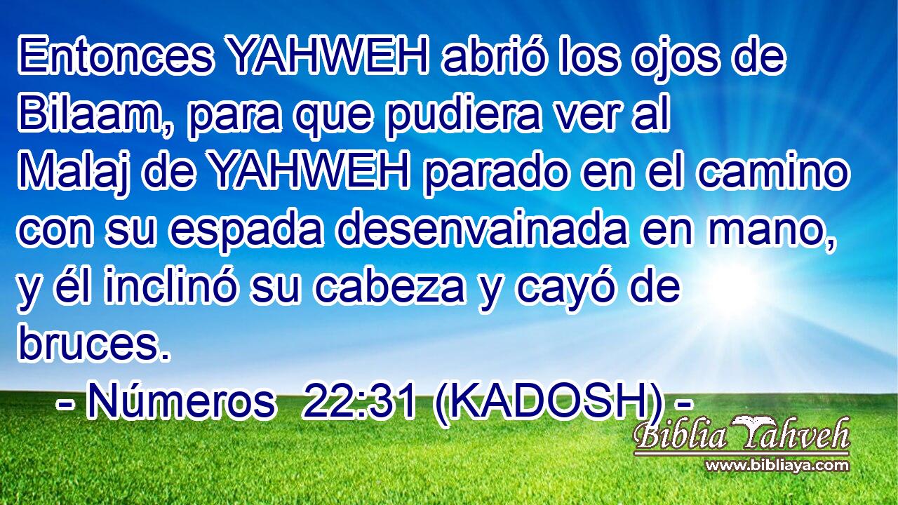  Entonces YAHWEH abrió los ojos de Bilaam, para que pudiera ver al Malaj de YAHWEH parado en el camino con su espada desenvainada en mano, y él inclinó su cabeza y cayó de bruces. 