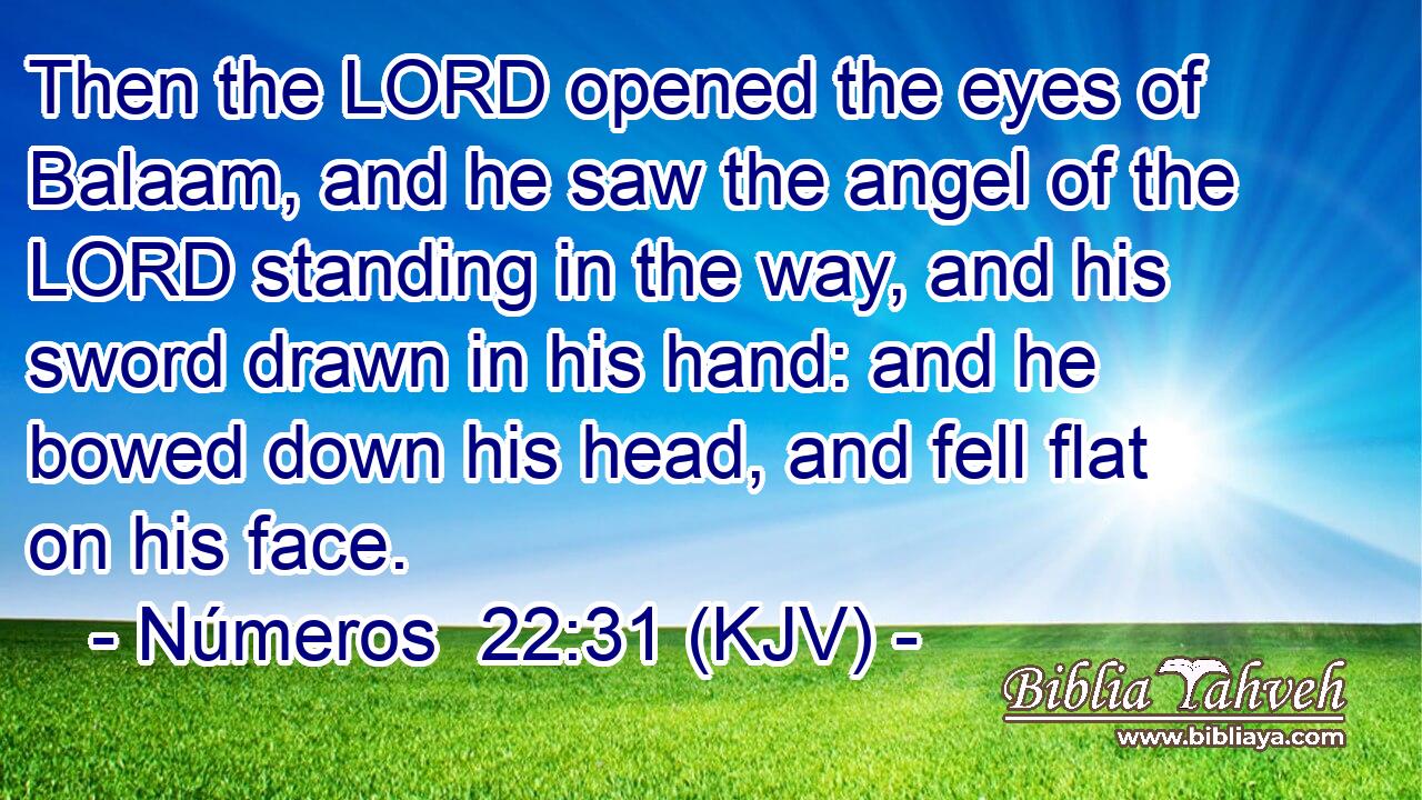 Then the LORD opened the eyes of Balaam, and he saw the angel of the LORD standing in the way, and his sword drawn in his hand: and he bowed down his head, and fell flat on his face.