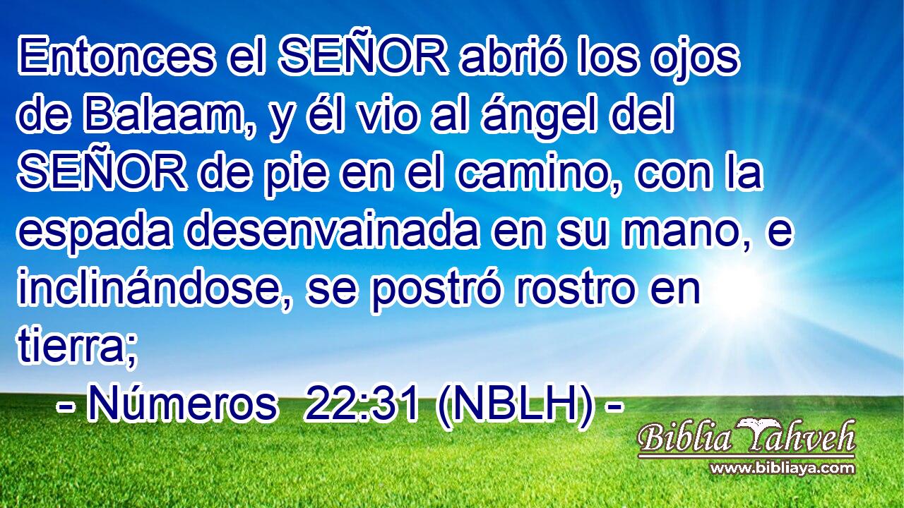  Entonces el SEÑOR abrió los ojos de Balaam, y él vio al ángel del SEÑOR de pie en el camino, con la espada desenvainada en su mano, e inclinándose, se postró rostro en tierra; 