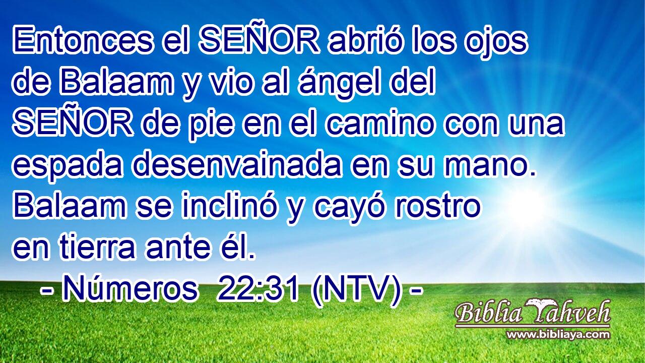 Entonces el SEÑOR abrió los ojos de Balaam y vio al ángel del SEÑOR de pie en el camino con una espada desenvainada en su mano. Balaam se inclinó y cayó rostro en tierra ante él.