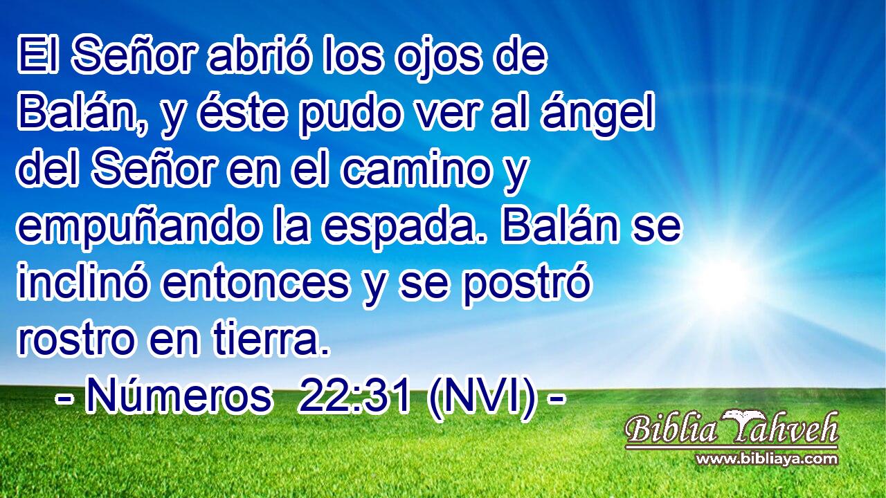  El Señor abrió los ojos de Balán, y éste pudo ver al ángel del Señor en el camino y empuñando la espada. Balán se inclinó entonces y se postró rostro en tierra. 