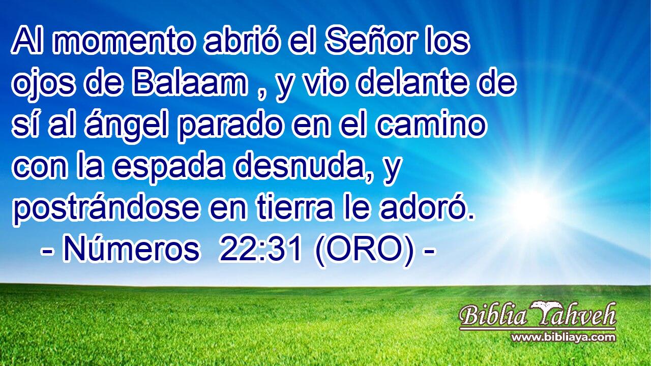  Al momento abrió el Señor los ojos de Balaam , y vio delante de sí al ángel parado en el camino con la espada desnuda, y postrándose en tierra le adoró. 