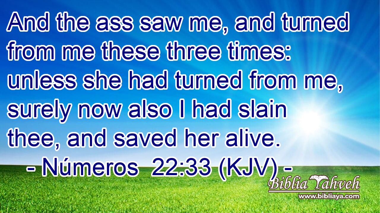 And the ass saw me, and turned from me these three times: unless she had turned from me, surely now also I had slain thee, and saved her alive.