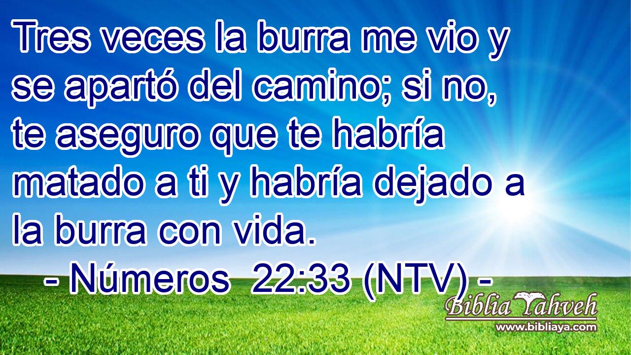 Tres veces la burra me vio y se apartó del camino; si no, te aseguro que te habría matado a ti y habría dejado a la burra con vida.