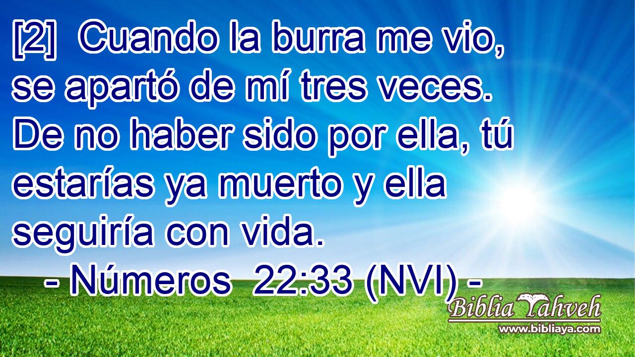  [2]  Cuando la burra me vio, se apartó de mí tres veces. De no haber sido por ella, tú estarías ya muerto y ella seguiría con vida. 