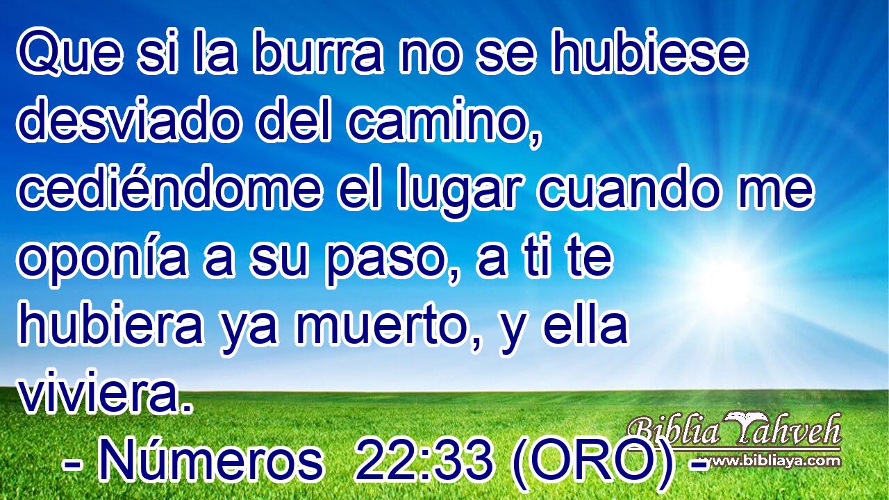  Que si la burra no se hubiese desviado del camino, cediéndome el lugar cuando me oponía a su paso, a ti te hubiera ya muerto, y ella viviera. 