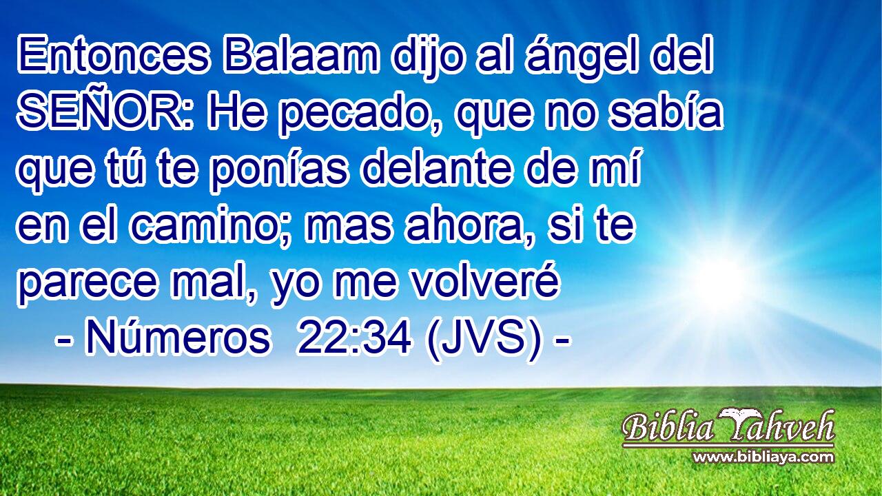 Entonces Balaam dijo al ángel del SEÑOR: He pecado, que no sabía que tú te ponías delante de mí en el camino; mas ahora, si te parece mal, yo me volveré