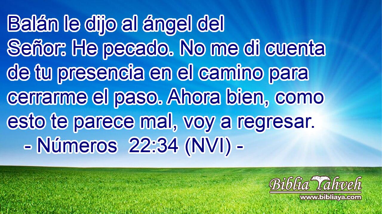  Balán le dijo al ángel del Señor: He pecado. No me di cuenta de tu presencia en el camino para cerrarme el paso. Ahora bien, como esto te parece mal, voy a regresar. 