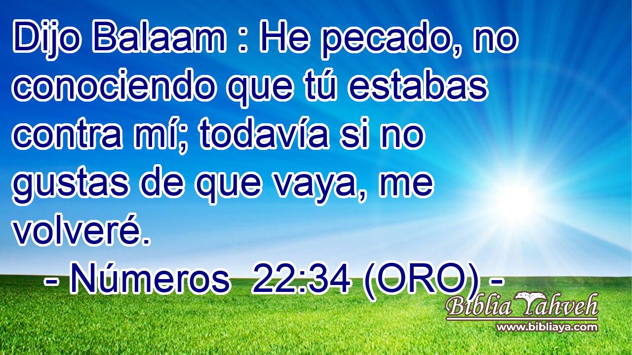  Dijo Balaam : He pecado, no conociendo que tú estabas contra mí; todavía si no gustas de que vaya, me volveré. 