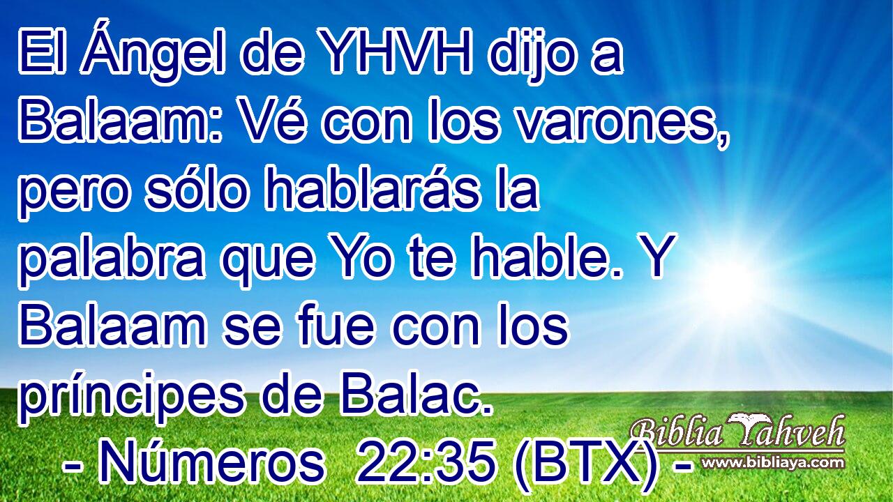 El Ángel de YHVH dijo a Balaam: Vé con los varones, pero sólo hablarás la palabra que Yo te hable. Y Balaam se fue con los príncipes de Balac.