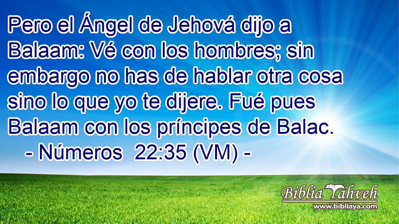  Pero el Ángel de Jehová dijo a Balaam: Vé con los hombres; sin embargo no has de hablar otra cosa sino lo que yo te dijere. Fué pues Balaam con los príncipes de Balac. 