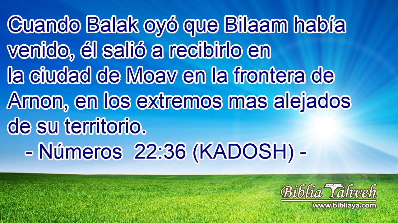  Cuando Balak oyó que Bilaam había venido, él salió a recibirlo en la ciudad de Moav en la frontera de Arnon, en los extremos mas alejados de su territorio. 