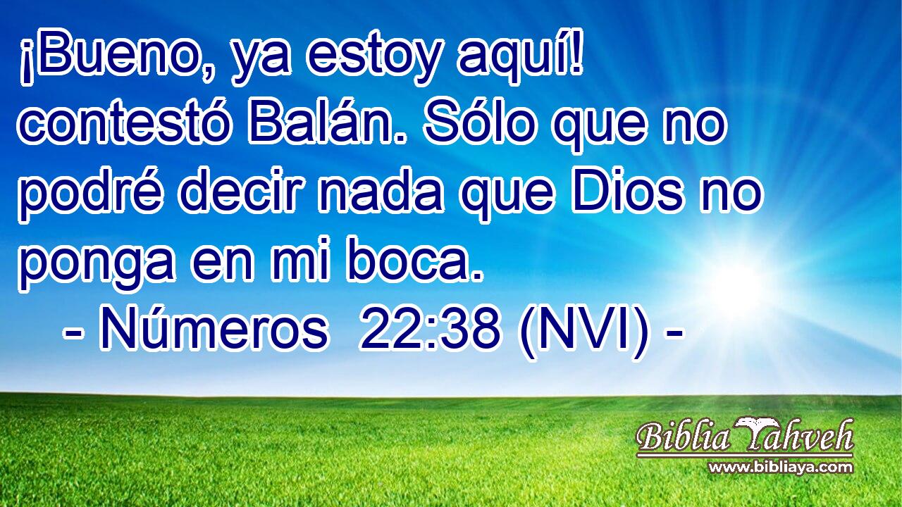  ¡Bueno, ya estoy aquí! contestó Balán. Sólo que no podré decir nada que Dios no ponga en mi boca. 