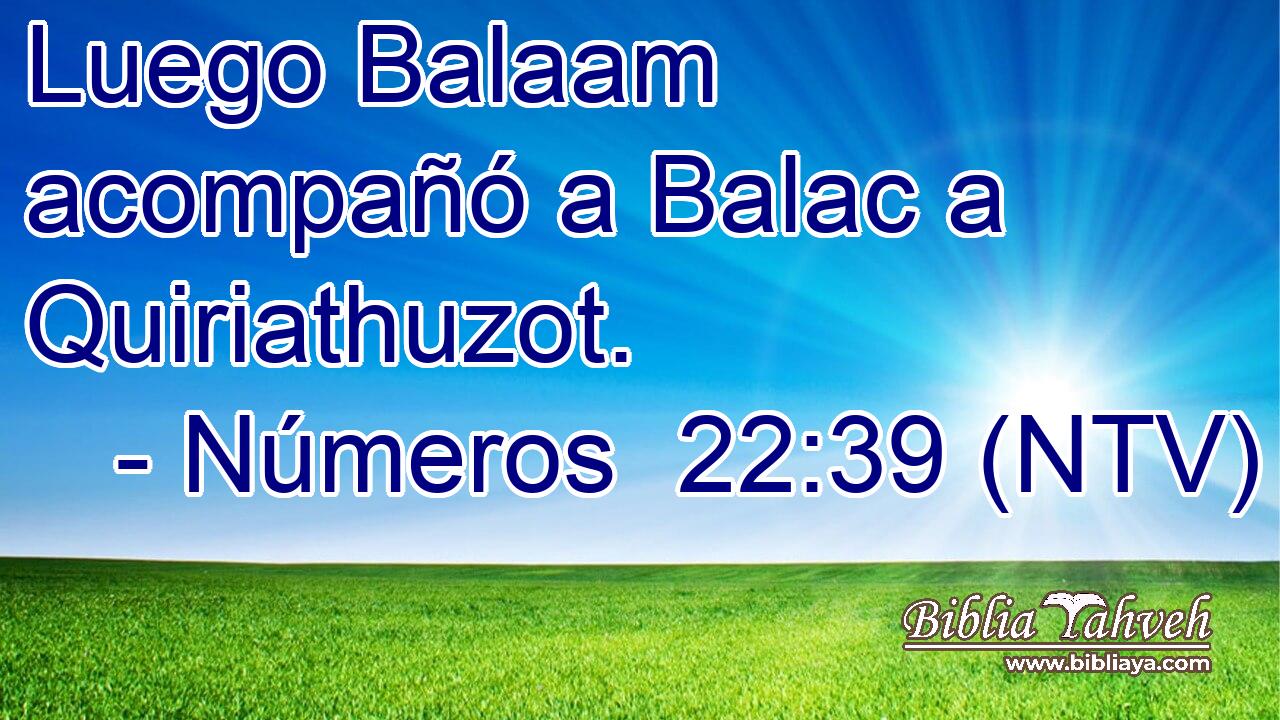 Luego Balaam acompañó a Balac a Quiriathuzot.