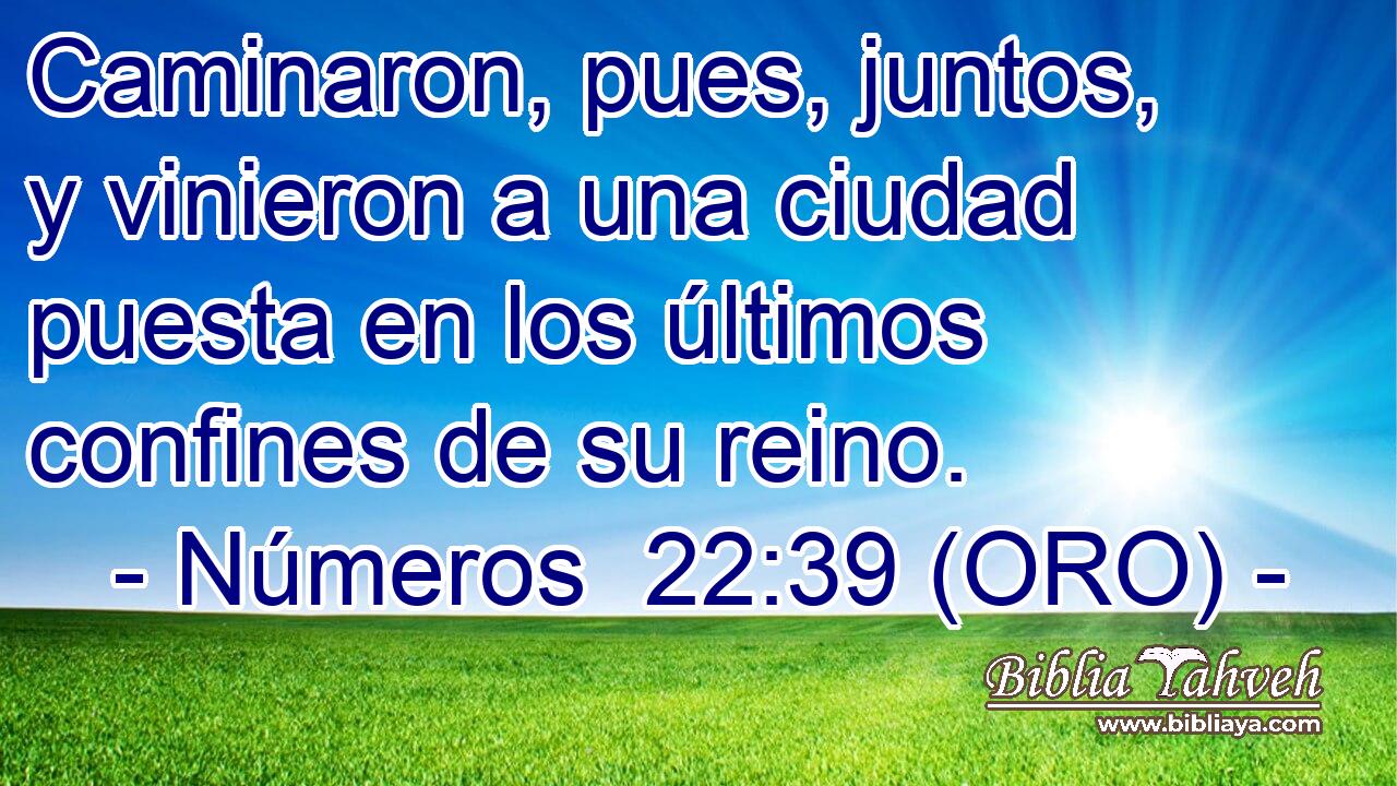  Caminaron, pues, juntos, y vinieron a una ciudad puesta en los últimos confines de su reino. 