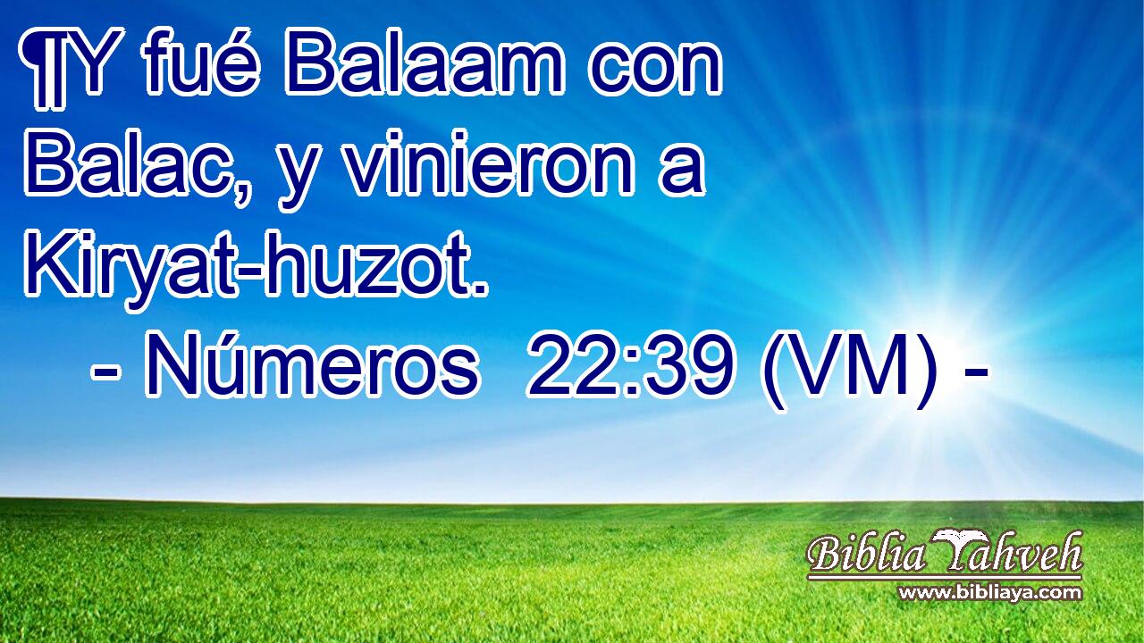  ¶Y fué Balaam con Balac, y vinieron a Kiryat-huzot. 