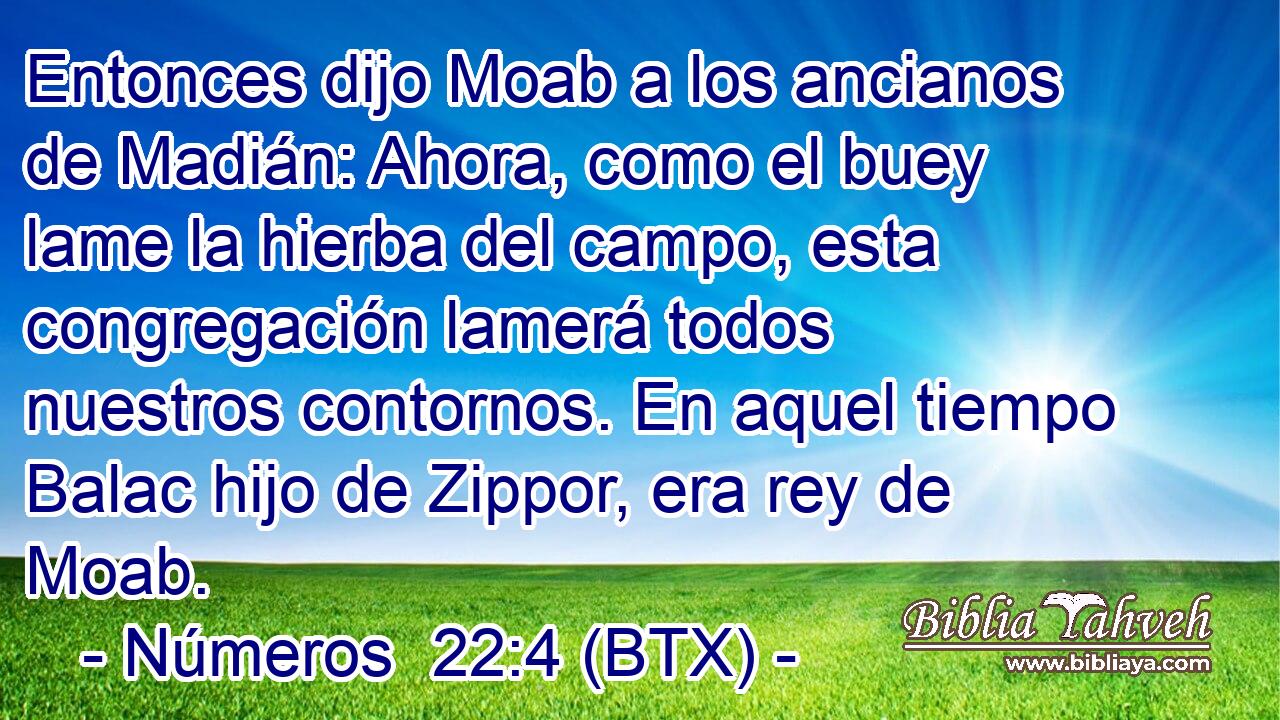 Entonces dijo Moab a los ancianos de Madián: Ahora, como el buey lame la hierba del campo, esta congregación lamerá todos nuestros contornos. En aquel tiempo Balac hijo de Zippor, era rey de Moab.
