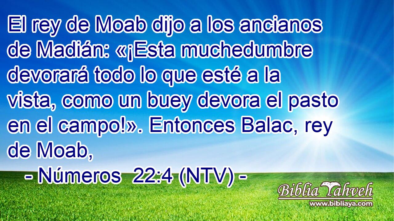 El rey de Moab dijo a los ancianos de Madián: «¡Esta muchedumbre devorará todo lo que esté a la vista, como un buey devora el pasto en el campo!». Entonces Balac, rey de Moab,