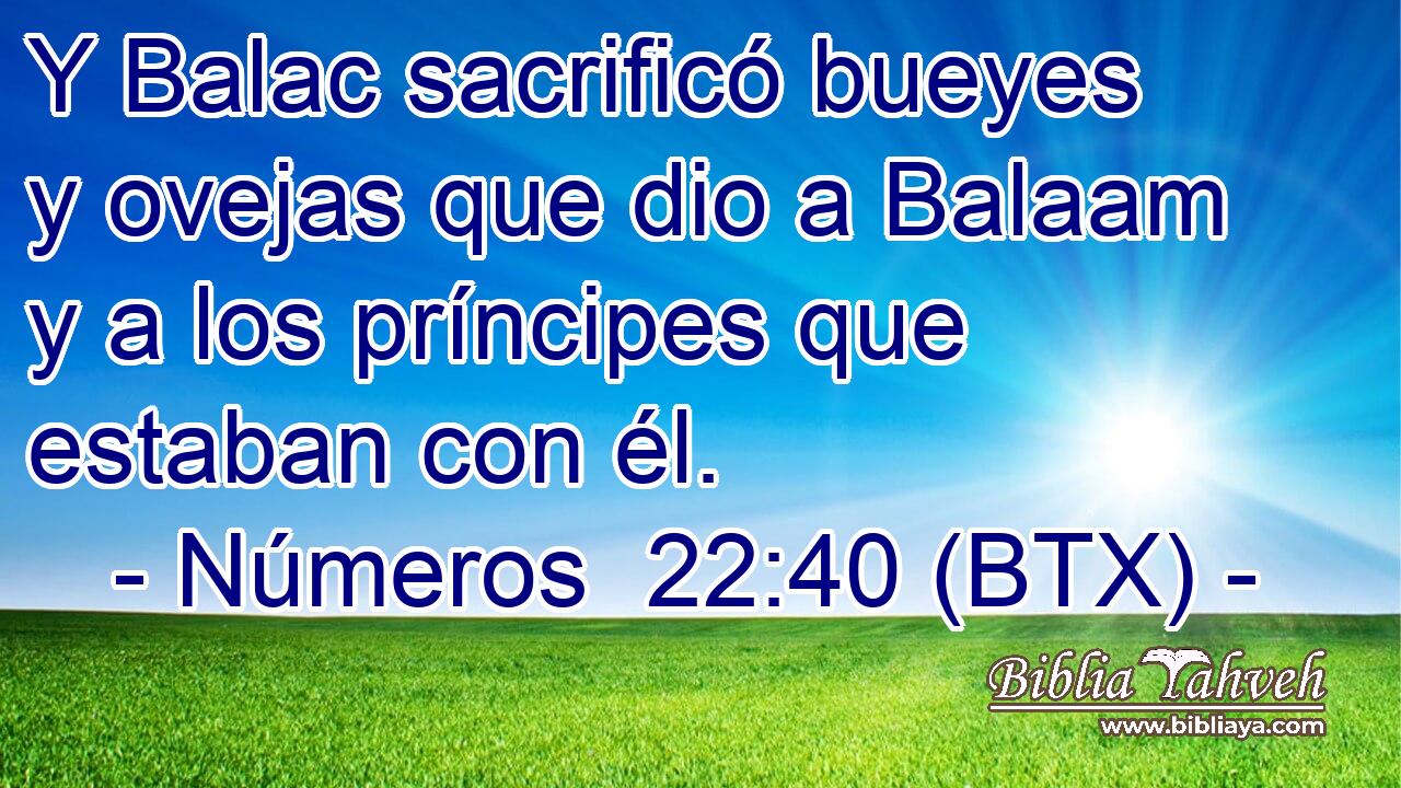 Y Balac sacrificó bueyes y ovejas que dio a Balaam y a los príncipes que estaban con él.